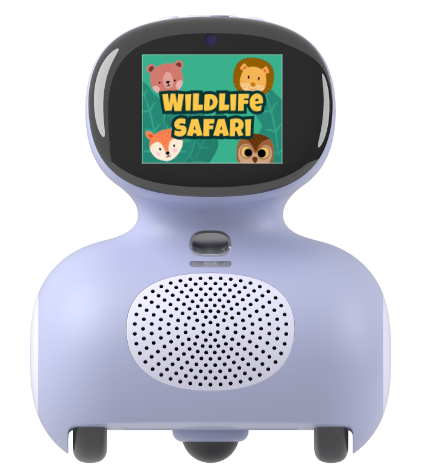 Wildlife Safari